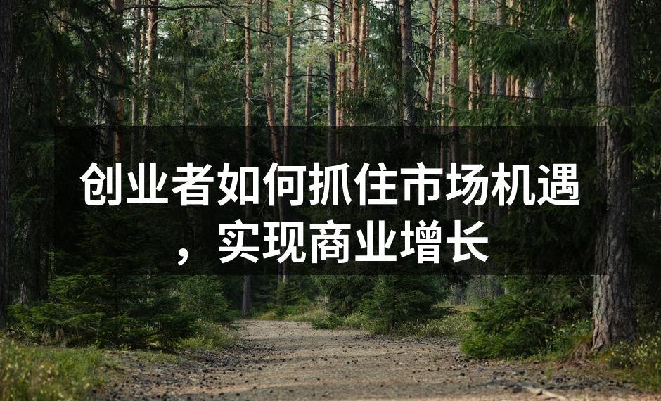创业者如何抓住市场机遇，实现商业增长