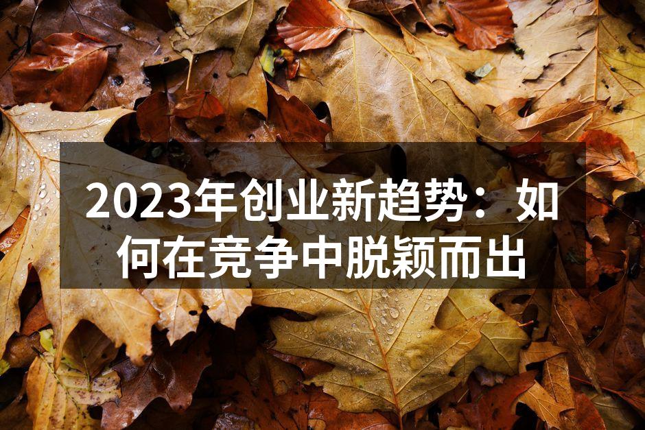 2023年创业新趋势：如何在竞争中脱颖而出
