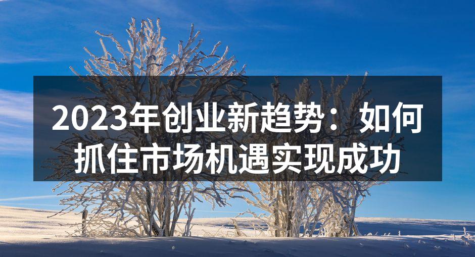 2023年创业新趋势：如何抓住市场机遇实现成功