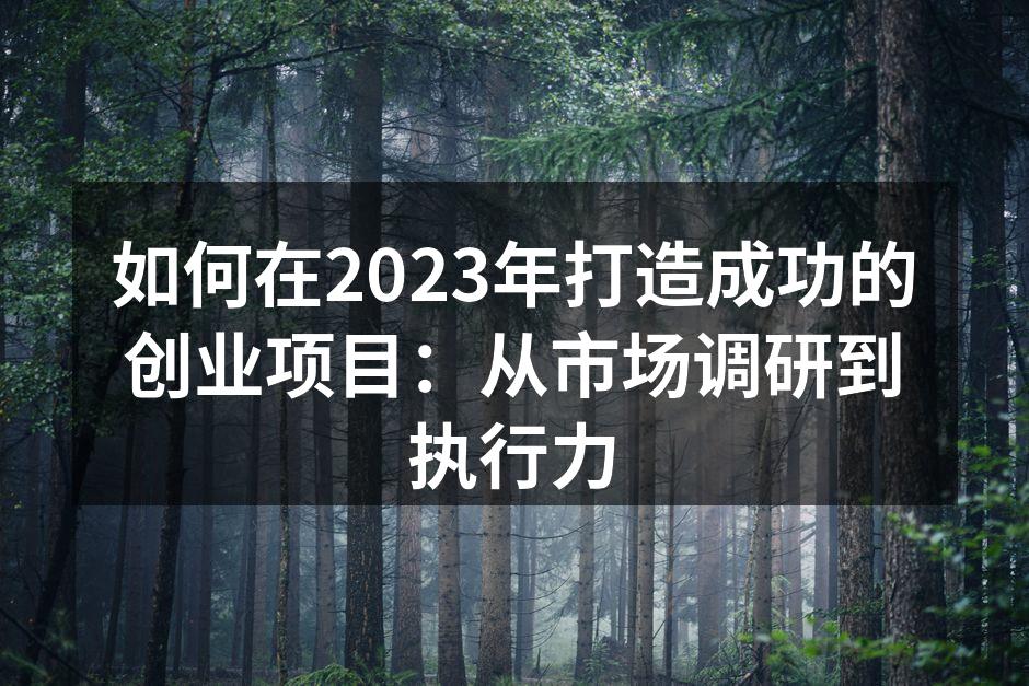 如何在2023年打造成功的创业项目：从市场调研到执行力